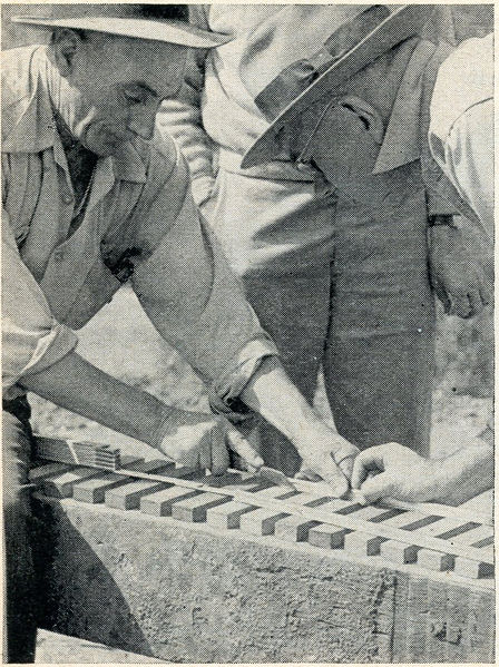 File:LiveSteaming at GGLS PopSci Oct1951-6.jpg